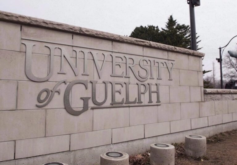 University of Guelph to lead national network focused on agri-food innovation