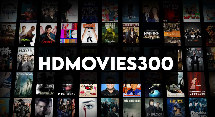 Hdmovies300