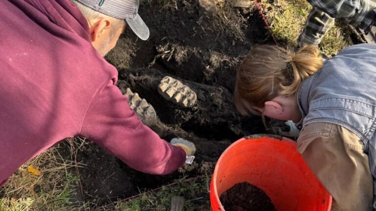 Complete mastodon jaw found in New York homeowner’s backyard: ‘Remarkable discovery’